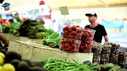 تعرف على عالم النحل الذي لا نعلم عنه إلا صنع العسل