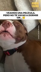 Yo, cuando me invitan a ver una película...