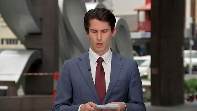 Head of Qld's police union grilled during inquiry into DV response