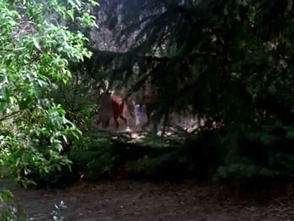 J.A.G. - Im Auftrag der Ehre Staffel 1 Folge 13 HD Deutsch