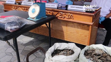 Ungkap 3 Kasus Berbeda, Polres Melawi Gelar Press Release