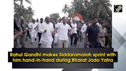 Rahul Gandhi makes Siddaramaiah sprint with him hand-in-hand during Bharat Jodo Yatra