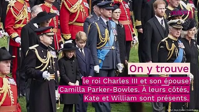 Meghan Markle et Harry revanchards : l'affaire de la photo en dit long sur leurs intentions