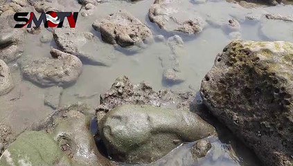 কক্সবাজার সমুদ্র সৈকত ইনানী বিচ