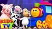 Animal Sound - Preschool Song and Educational Learning Videos