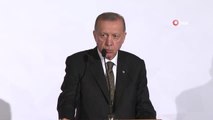 Cumhurbaşkanı Erdoğan'dan Yunan gazeteciye 