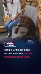 ĐANG KHÁT THÌ GẶP ĐƯỢC DU KHÁCH ĐI CHÙA CHÚ KHỈ TỰ NHIÊN XIN MIẾNG NƯỚC