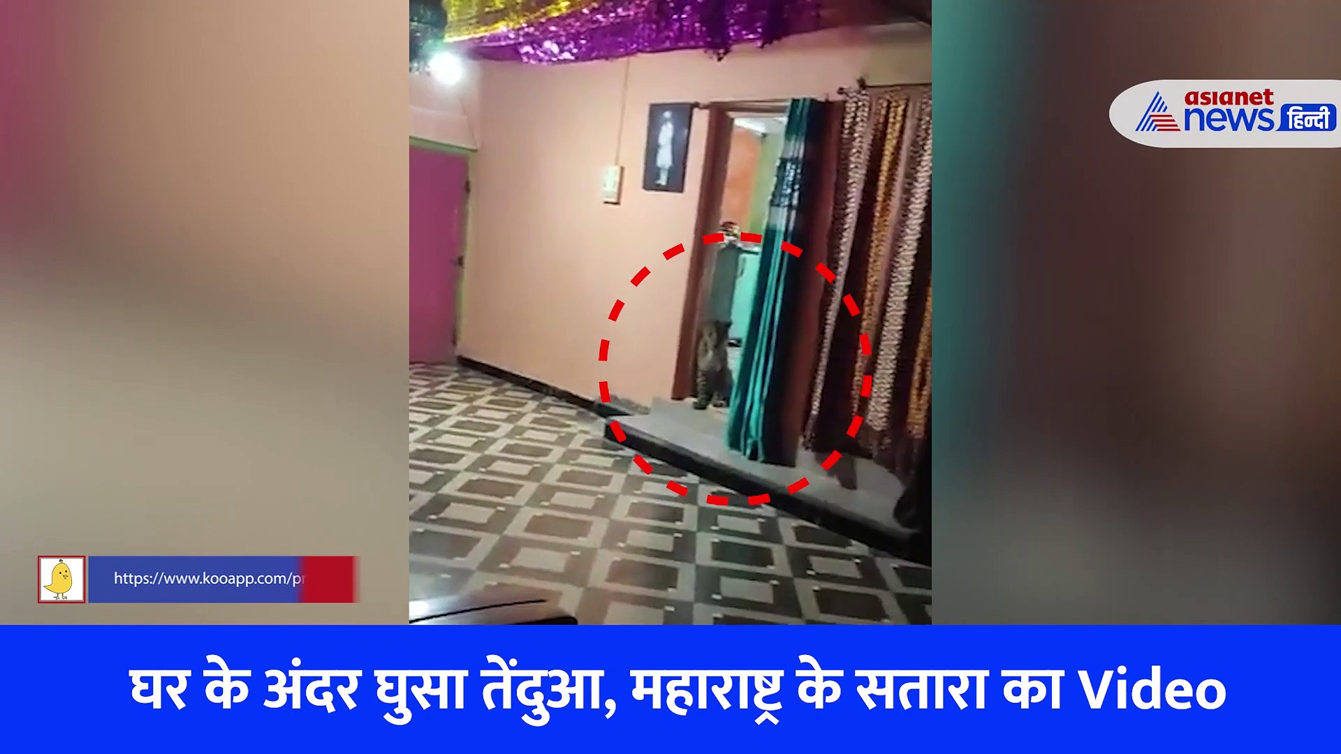 Video: बाहर गया था परिवार पीछे से घर में घुसा तेंदुआ...कमरे की चौखट पर दिखा ऐसा नजारा कि कांप गए लोग 