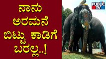 Elephant Sri Rama Denies Returning To Forest From Mysuru Palace | Public TV