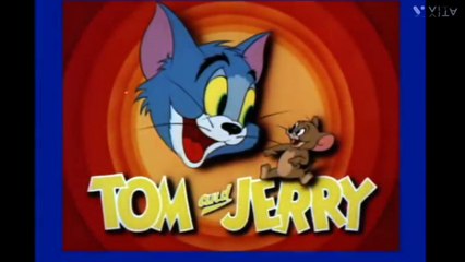 Tom and Jerry| Tom and Jerry cartoon|funny animal cartoon