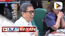 Panukalang budget ng DOE, ERC, at NEA, sumalang sa budget hearing ng Senado