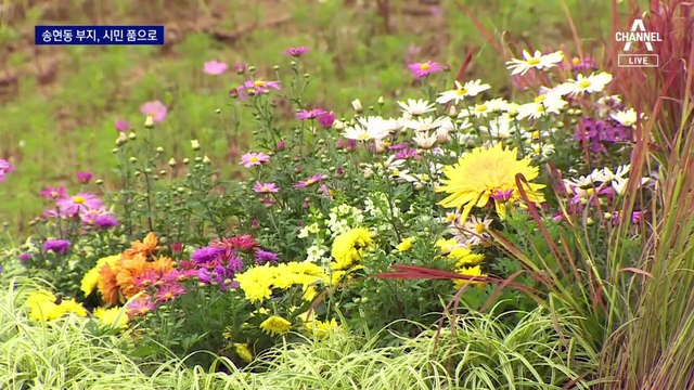 도심 속 금단의 땅 ‘송현동 부지’ 100년 만에 열렸다