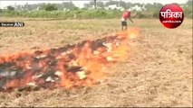 पंजाब में धड़ल्ले से जलाई जा रही पराली, किसानों ने खोली सरकार के दावों की पोल
