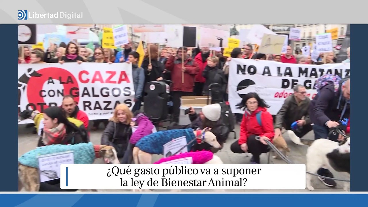 ¿Cuánto dinero público costará la Ley de Bienestar Animal de Ione Belarra?