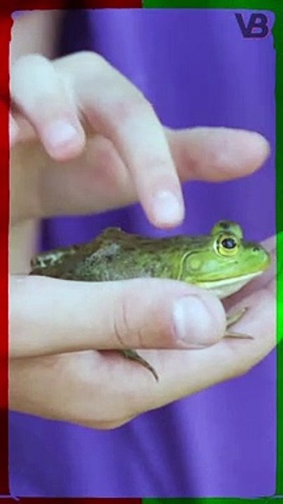 TOUCHING TOADS GIVES YOU WARTS #shorts