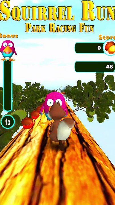 Squirrel Run Game ❤️ Big Fun Gameplay 