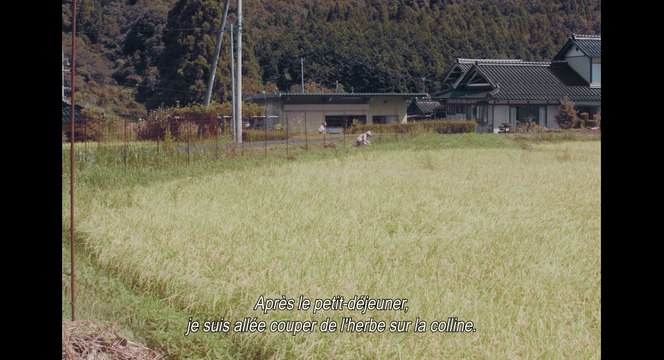 Les Travaux et les Jours