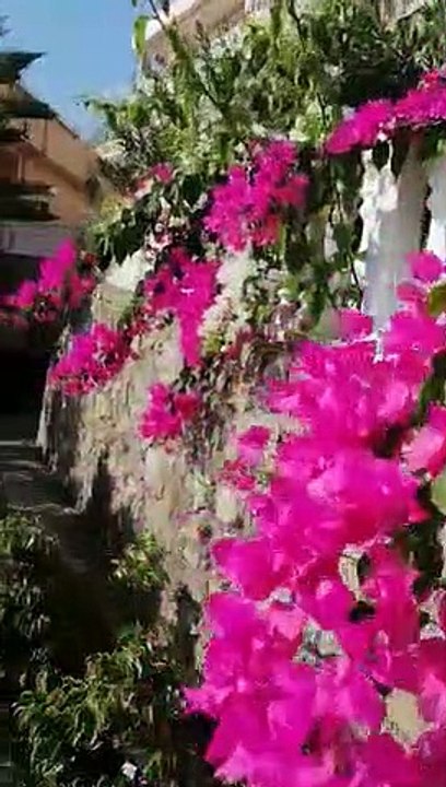 Alanya wohnung kaufen 99.500 Euro