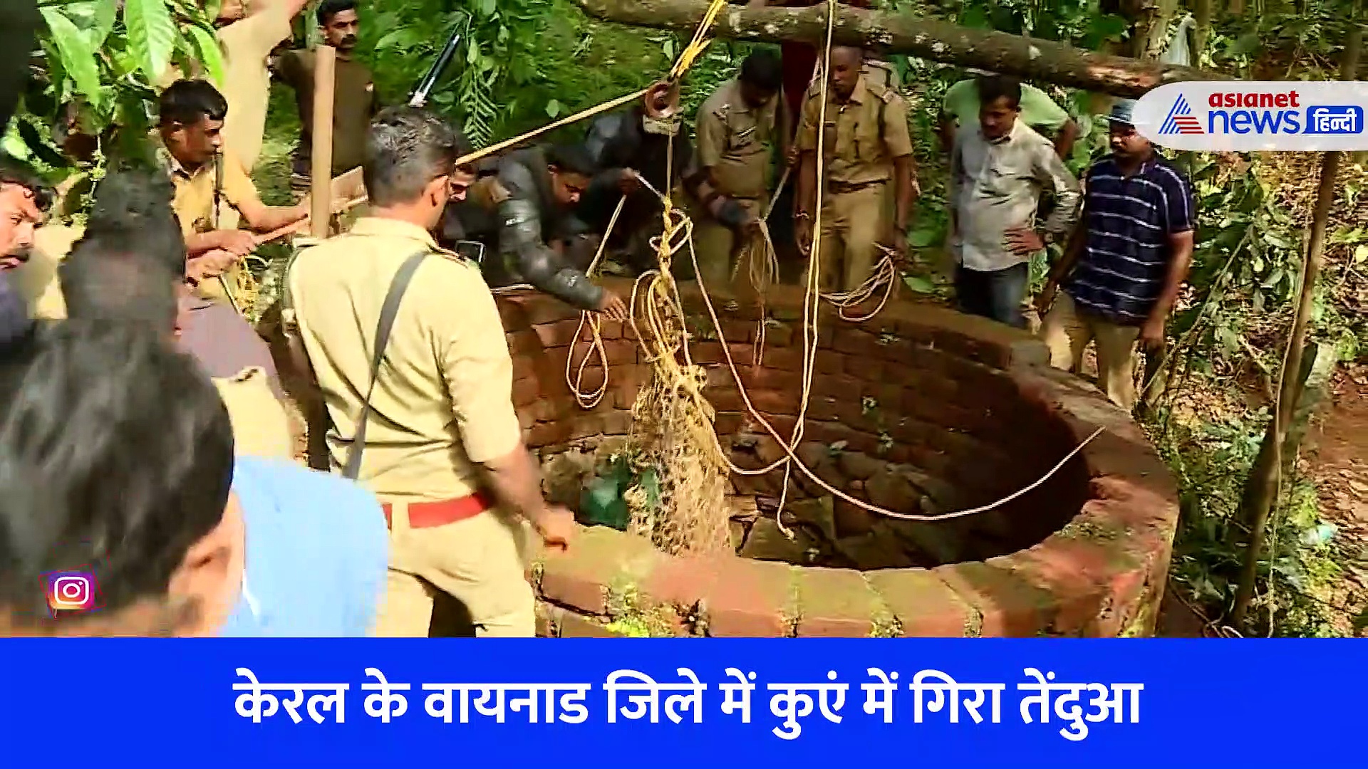 केरल के वायनाड में कुएं में गिरा तेंदुआ, निकालने में छूटे वन विभाग के पसीने