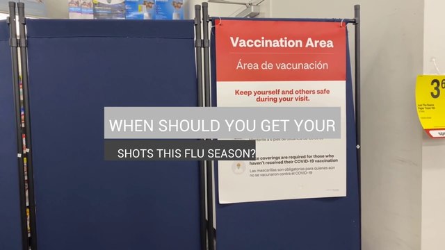 WHEN SHOULD YOU GET YOUR SHOTS THIS FLU SEASON? - Subtitled
