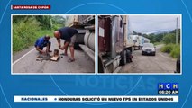 ¡Debajo de su rastra en reparos! así vive su feriado un transportista en Copán, por deplorable estado de carreteras