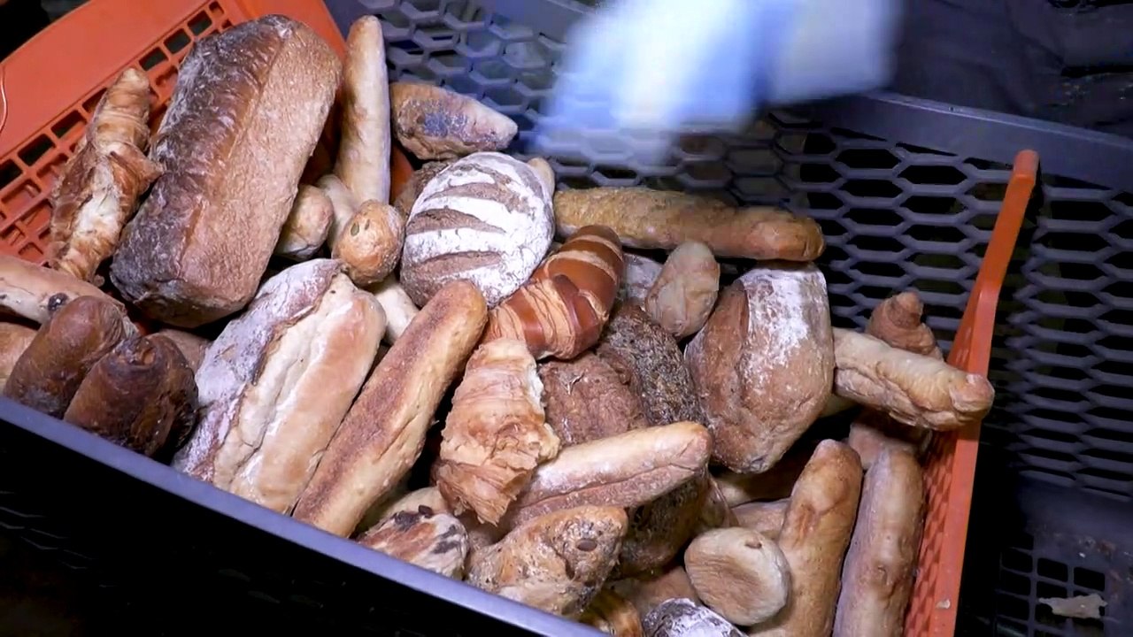 A Bruxelles, de la bière et du pain pour faire pousser les champignons