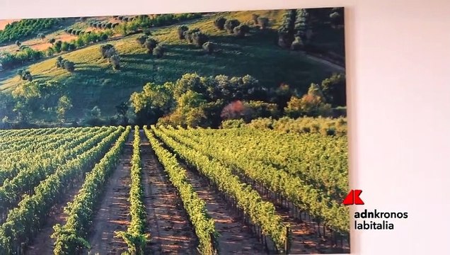 Contratto di sviluppo, l’esperienza di Fantini Group