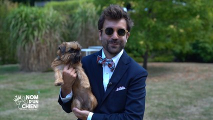 Nom d'un chien: découvrez Bobette