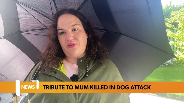 Tribute to Mum killed in dog attack - LiverpoolWorld news bulletin