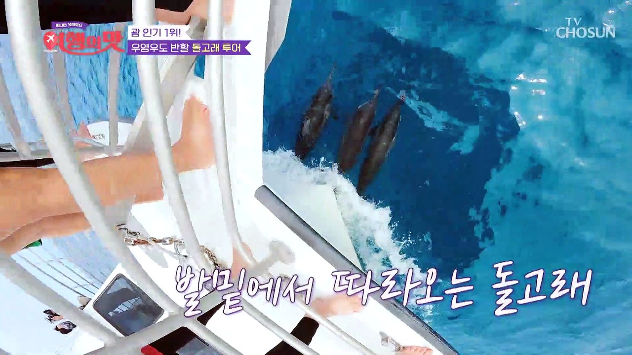 잔잔한 바다 위 보이지 않는 돌고래를 찾아서...★ TV CHOSUN 221007 방송