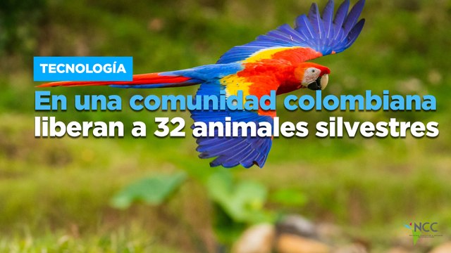 En una comunidad colombiana liberan a 32 animales silvestres