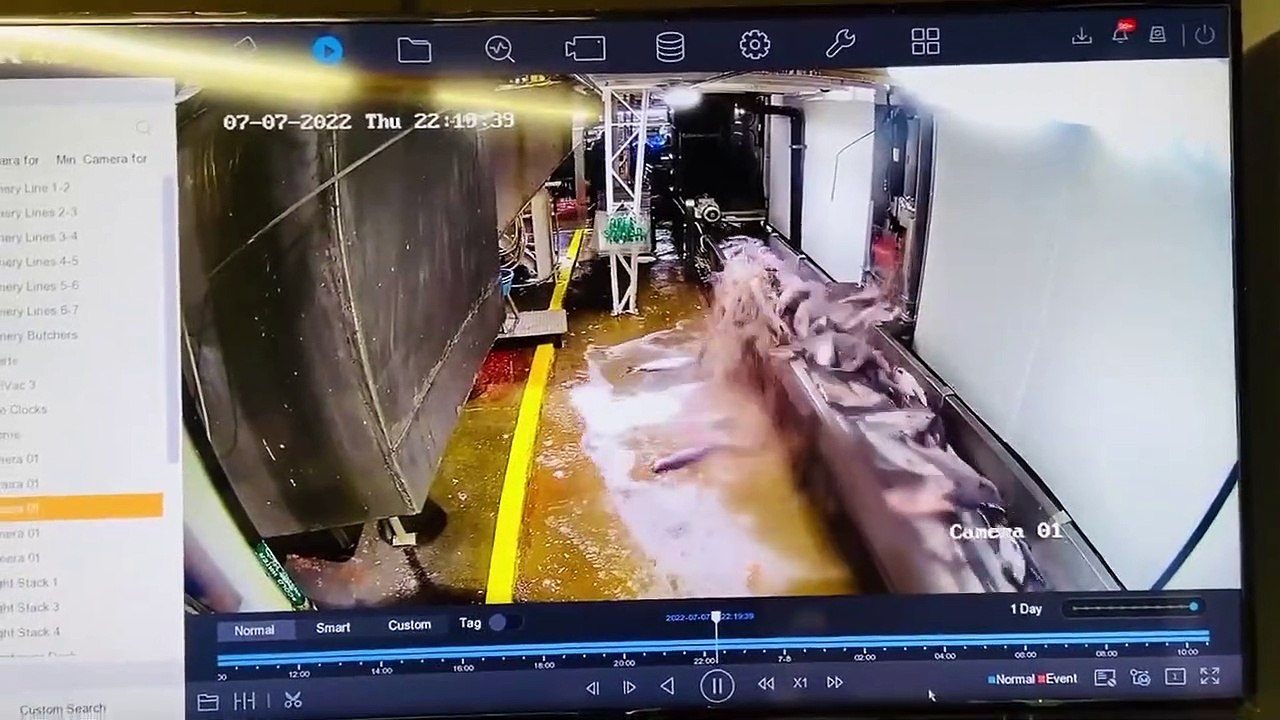 Petit problème de saumon... beaucoup trop de saumons