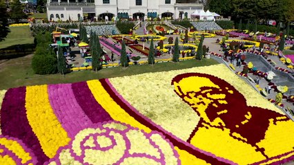 국화 향기·치즈 내음 다시 어우러졌다...3년 만에 임실치즈축제 / YTN