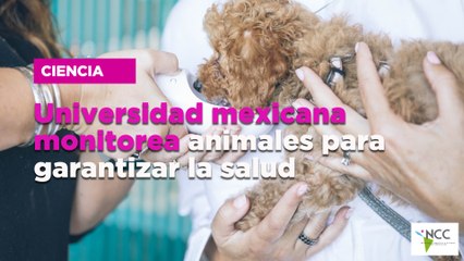 Universidad mexicana monitorea animales para garantizar la salud