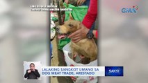 Lalaking sangkot umano sa dog meat trade, arestado | Saksi