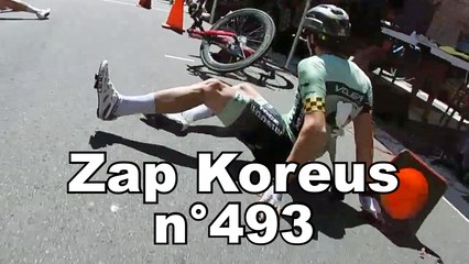 Zap Koreus n°493