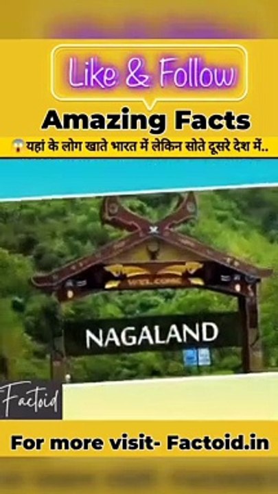 Amazing Fact