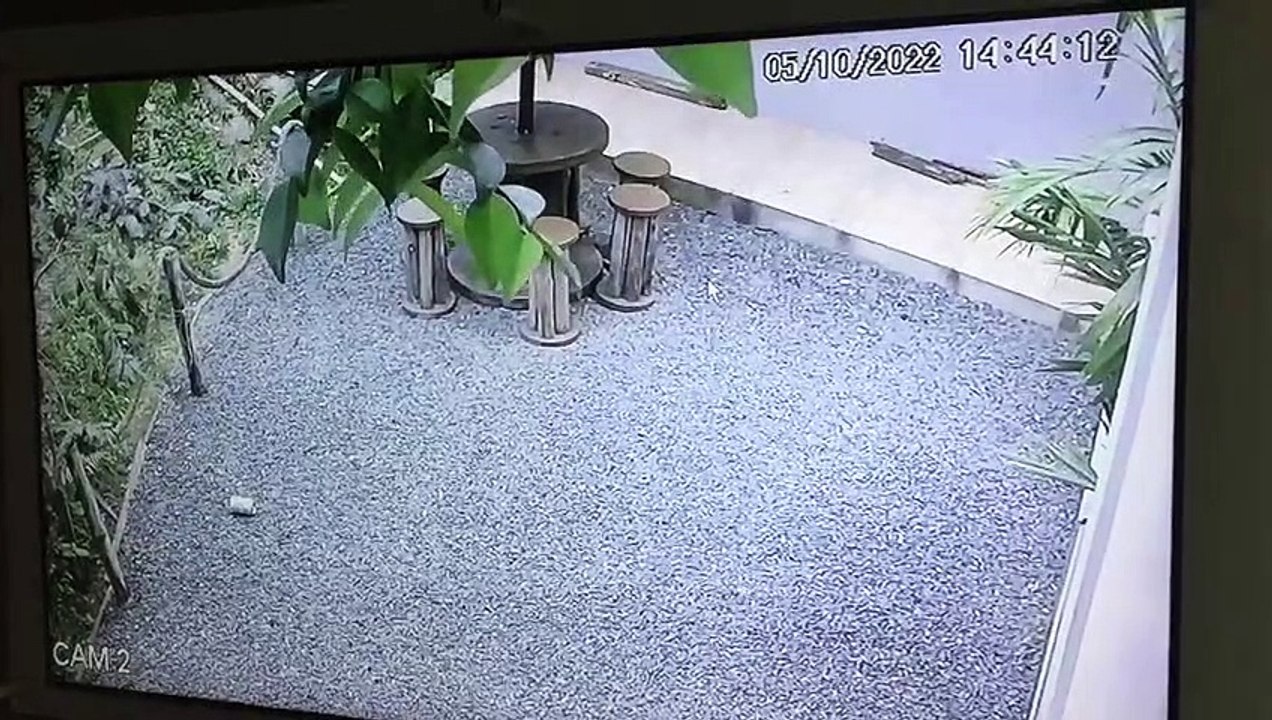 Homem com espingarda ameaça morador e mobiliza polícia de SC