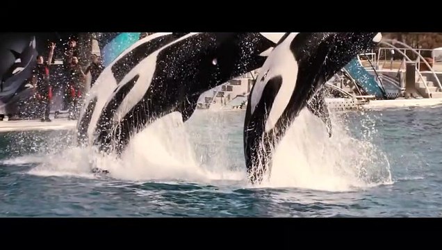 De rouille et d'os Bande-annonce (DE)