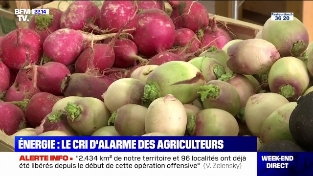 Énergie: les agriculteurs alertent sur le risque de hausse des prix des légumes