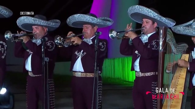 Será en Vallarta la clausura del encuentro de mariachi y charrería | CPS Noticias Puerto Vallarta
