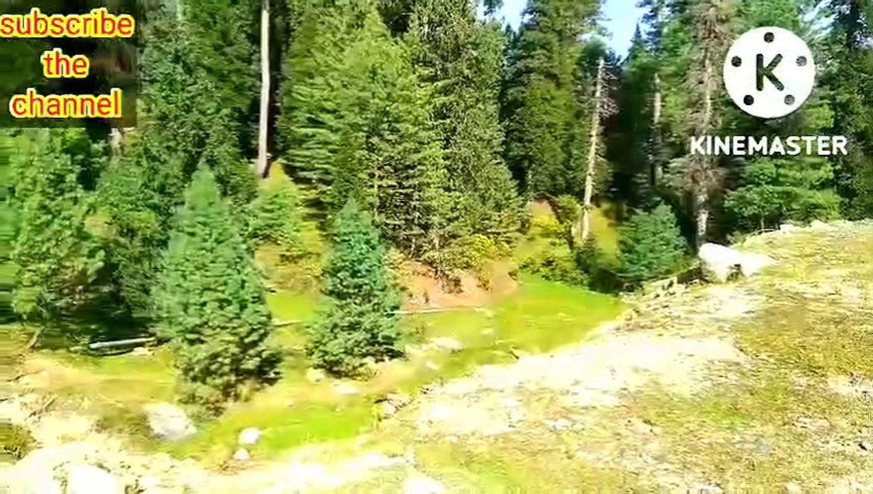 Kashmir beauty scenes and nature beauty #video