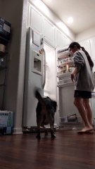 Doggo Jumps for Joy at Mealtime