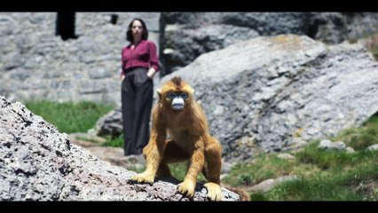 His Dark Materials Season 3