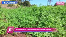 Incineran más de 126 kilos de marihuana en Morelos, esto y mucho más en Diario de Morelos Informa