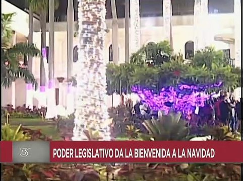 Trabajadores de la AN le dan la bienvenida a la navidad con encendido de luces