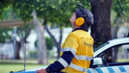 Pyrotechnics used to disperse bats from regional Queensland town of Charters Towers