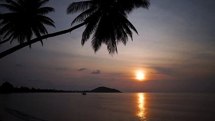 Soothing Ocean