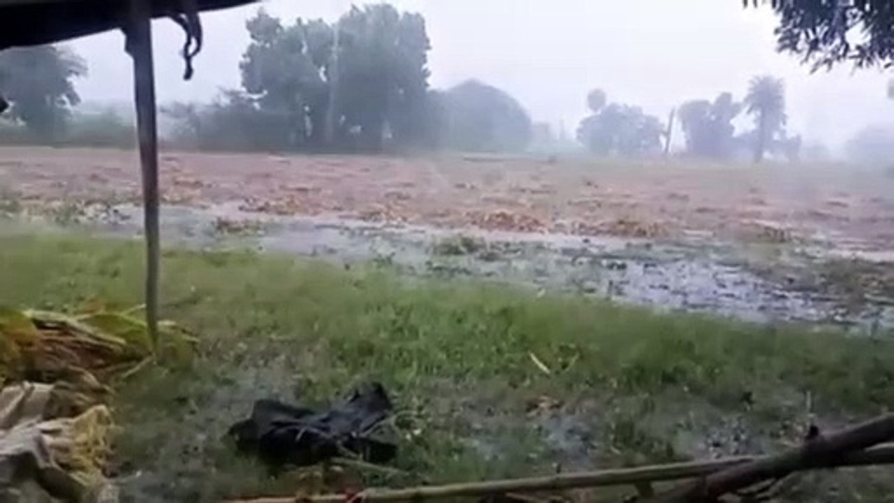 मुंह को आया निवाला छिना, खेतों में कटी फसलों में हुआ नुकसान