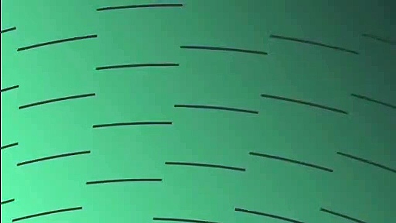 32313